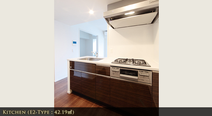 パークアクシス御茶ノ水:室内画像3